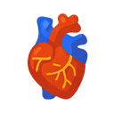 HUBS191 Human Body Systems paper