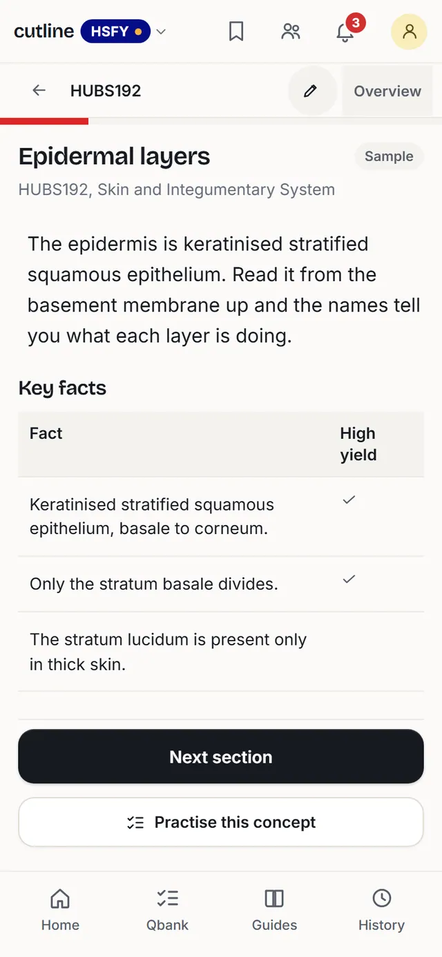 The concept page for Epidermal layers: a summary and a key facts table