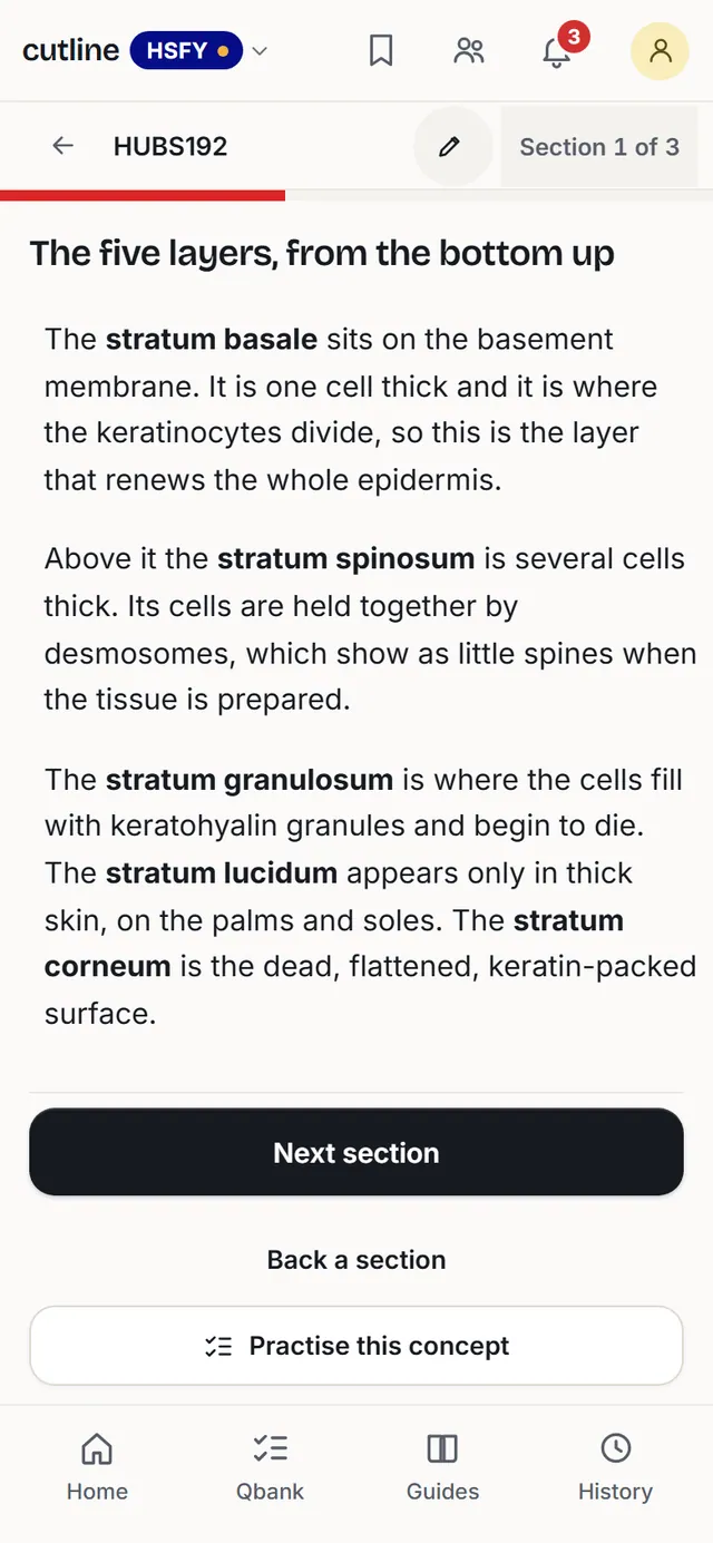 Section 1 of 3, the five layers from the bottom up