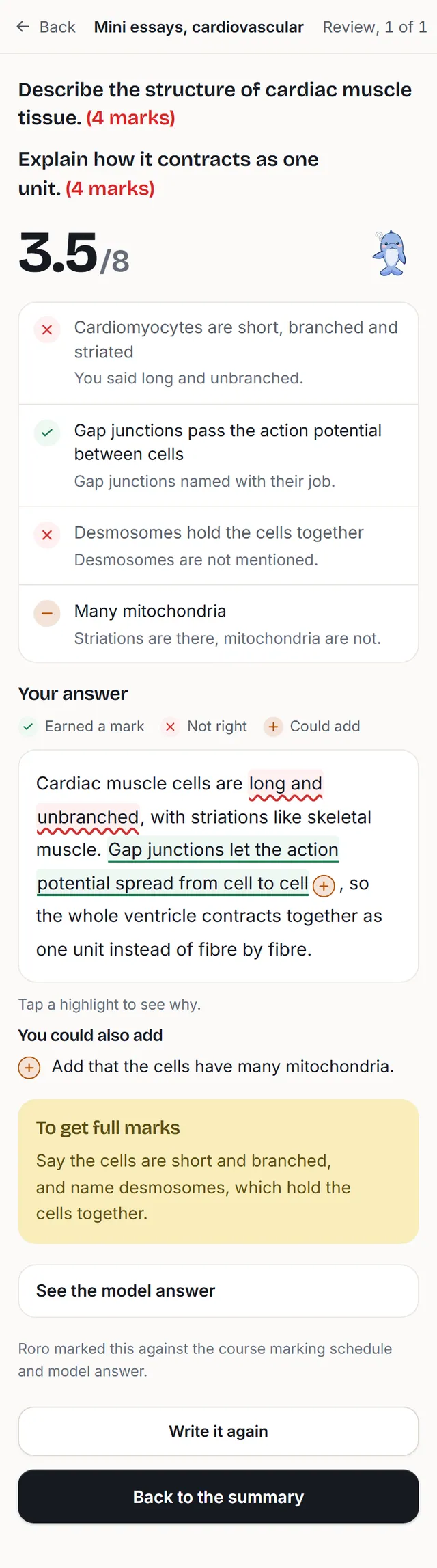 A marked mini essay on cardiac muscle: 3.5 out of 8, each criterion met or missed, the answer marked up line by line, and a note on what gets full marks